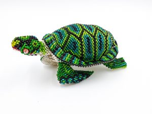 Medium Turtle